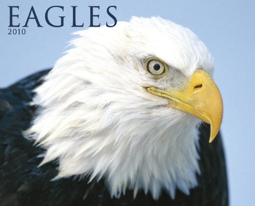 Eagles 2010 Calendar by Willow Creek Press