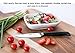 ZYLISS Control Paring Knife Set - Professional Kitchen Cutlery Knives - Premium German Steel, 2-Piece
