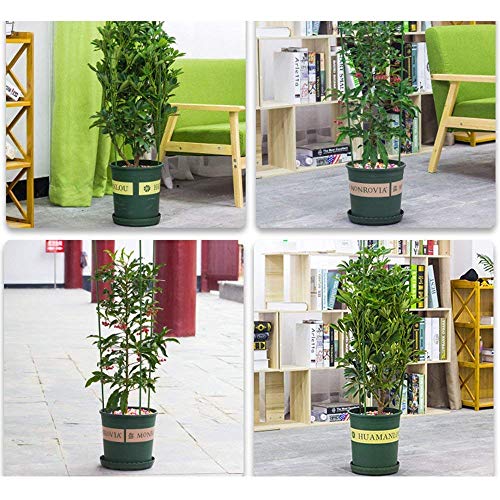 Anzmtosn Large Size 24INCH Garden Plant Support Ring Large Size Garden Trellis Flower Stainless Steel Support Climbing Vegtables&Flowers&Fruit Grow Cage with 3 Adjustable Rings 60CM (2PCS) - Thumbnail 5