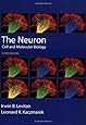 The Neuron: Cell and Molecular Biology