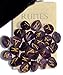 Amethyst Gemstone Runes with Engraved Lettering and Pouch