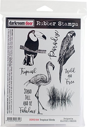 Darkroom Door Tropical Birds Cling Stamps 7"X5"