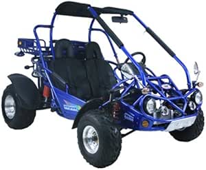 Amazon.com: New XRX Go Kart 300cc Trail 