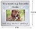 Pet Remembrance Picture Frame - Pet Bereavement Gift - Dog or Cat - You were My Favorite Hello and My Hardest Goodbye - Measures 8