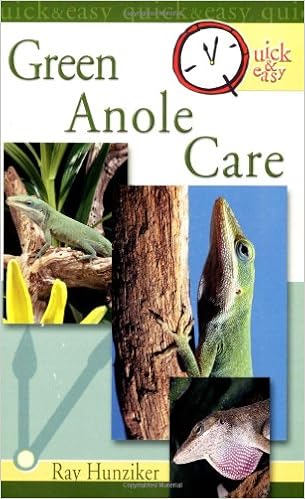 Quick Easy Green Anole Care Hunziker Raymond E Mazorlig Tom 9780793810215 Amazon Com Books Quick Easy Green Anole Care Hunziker Raymond E Mazorlig Tom 9780793810215 Amazon Com Books