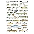 Freshwater Gamefish of North America Poster