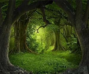 Amazon.com : AOFOTO 12x10ft Magic Forest Background Dreamy