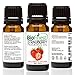BioFinest Strawberry Fragrance Oil - 100% Pure & Natural - Fresh Home Scent - Air Refresher - Relaxing Aromatherapy - Skin and Hair Care - FREE E-Book (10ml)