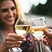 Teroforma Wine Twirls Chilling Cubes - 4 PC Set w/ Storage Bag