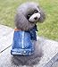 SMALLLEE_LUCKY_STORE Pet Small Dog Cat Clothes Classic Denim Jacket Coat Male Costume Blue S