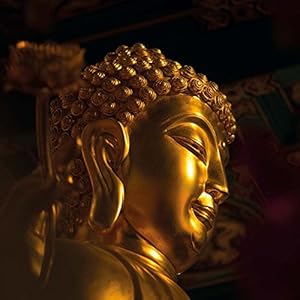 The Buddha's Smile (170109)