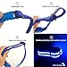 Ultimate LED Dog Collar – USB Rechargeable, Cable Included, 5 Awesome Colors. Ultra Bright, Durable, Made to Last. Make Your Dog More Visible at Night. (Medium Blue)