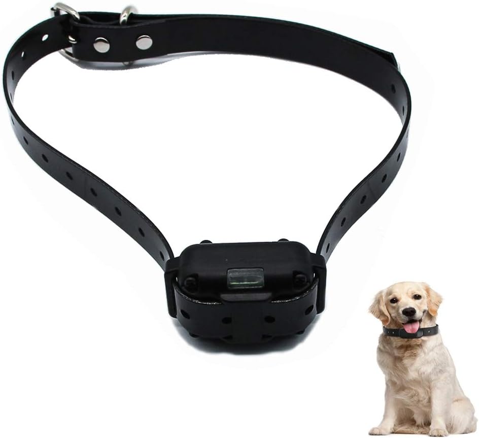 using dog training collars