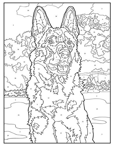 Creative Haven Dogs Color by Number Coloring Book (Creative Haven
