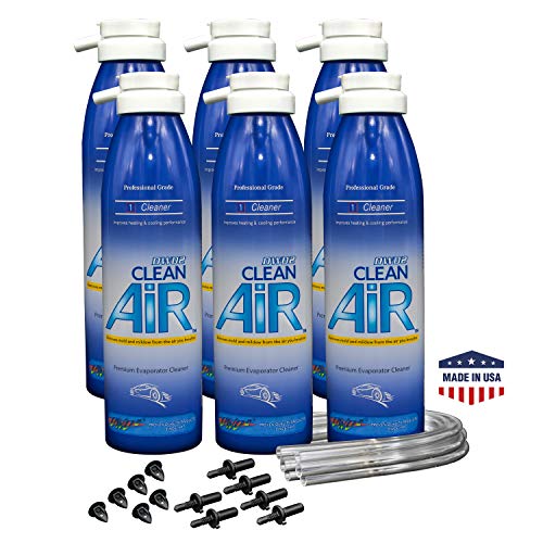 DWD2 Clean Air® Premium Automotive AC Evaporator Cleaner 8.oz Renew