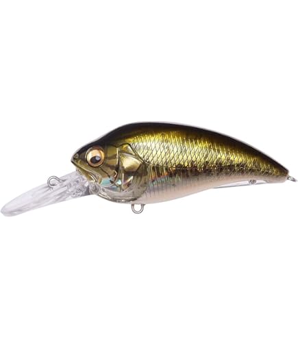 Amazon.com : Megabass Super-Z Z2 Kasumi ITO : Sports & Outdoors