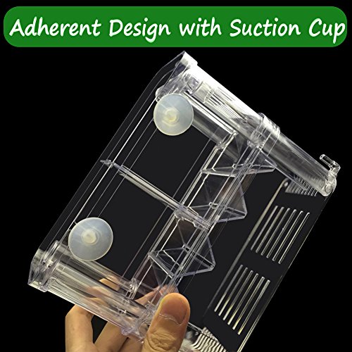 2 Petzilla+PBI+2+Aquarium+Breeder+Hatchery