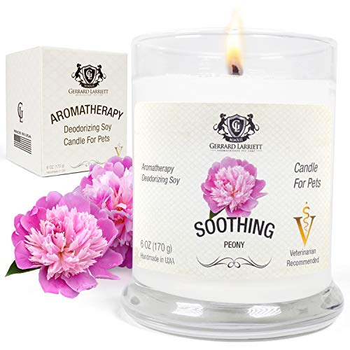Aromatherapy Deodorizing Soy Candle for Pets, Candles Scented, Pet Odor Eliminator & Animal Lover Gift (Soothing Peony)