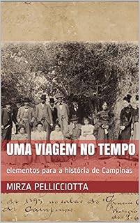 Livro Uma viagem no tempo: elementos para a história de Campinas