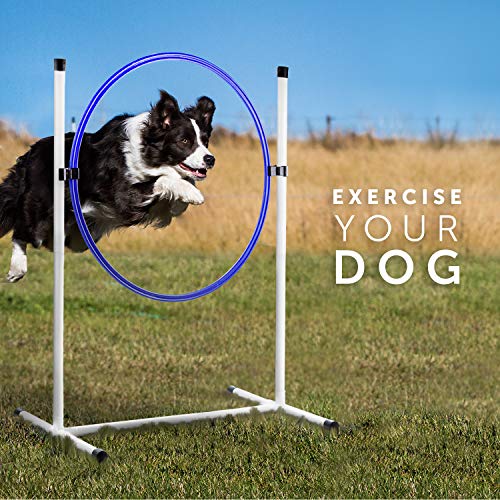 Better Sporting Dogs 3 Piece Essential Dog Agility Equipment Set | Agility Jump | Tire Jump | Tunnel