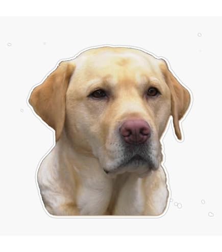Yellow Labrador Retriever Dog Silhouette Decal - 5 Inch Waterproof Vinyl Sticker For Car, Laptop