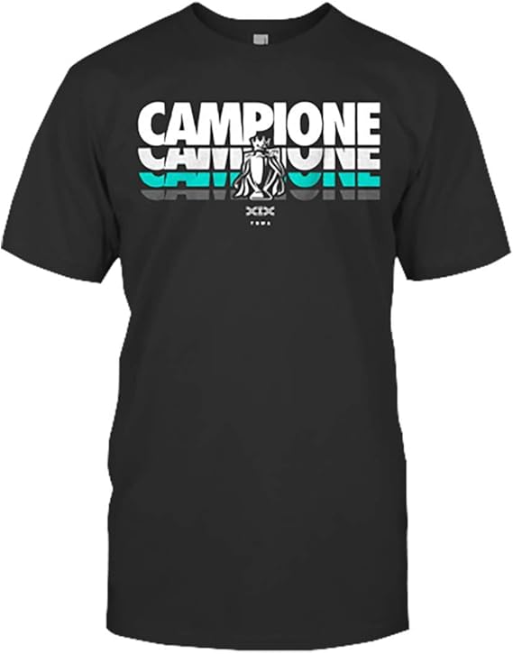 campione hoodie