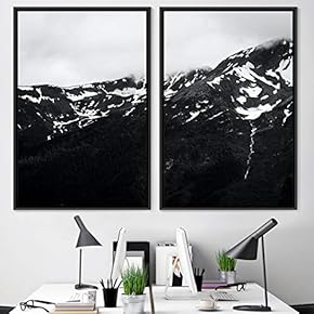 signwin 2 Piece Framed Canvas Wall Art Monochromatic...