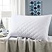 Sable Sleeping, 2 Pack Goose Down Alternative Quilted Bed Pillow, FDA Registered, Super Soft Plush Fiber Fill, Adjustable Loft, Relief for Neck Pain, Queen Size, White
