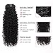 ABH AMAZINGBEAUTY HAIR Jerry Curly Clip in Hair Extensions Real Human Hair 3B 3C Double Wefts Curly Clip ins for African Americans 120g 7 Pieces 17 Clips 120 Grams, Natural Black 12 Inch