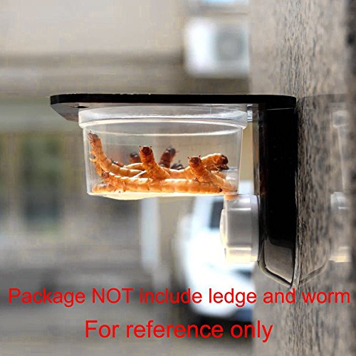 SLSON 100 Pack Gecko Food and Water Cups Gecko Ledge Replacement Cups Reptile Worm Bowl Mealworm Feed Feeder for Lizard Leopard Gecko Crested Gecko and Other Small Pets