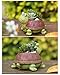 Youfui Turtle Planter for Small Plants, Bonsai, Cactus Planter, Mini Succulent Plant Pot Turtle Gift,Set of 2