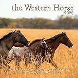 2020 Western Horse Calendar by