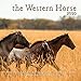 2020 Western Horse Calendar by