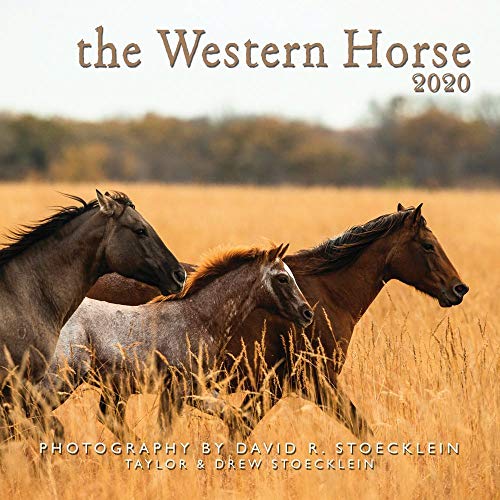 2020 Western Horse Calendar by