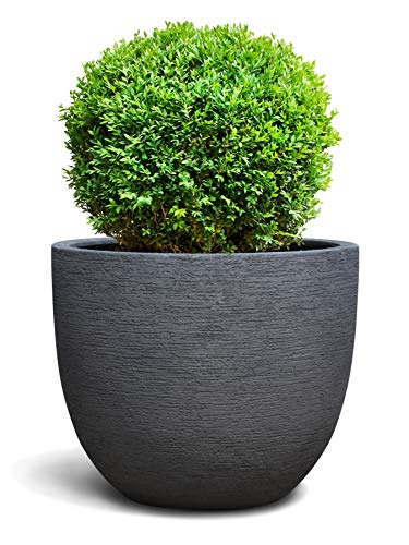 VAPLANTO® Pflanzkübel Egg Pot 70 Nero Anthrazit Rund XL * 65 x 65 x 54 cm * 10 Jahre Garantie – Bild 3