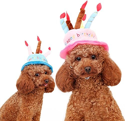 Dog Costume Hat, DiscoverMe8 6" Polyster Small Medium Large Pet Dogs (Blue)