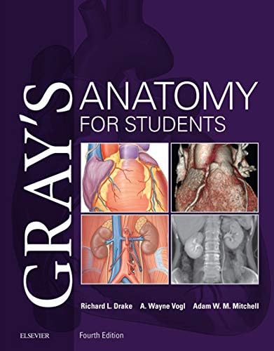 Amazon.com: Gray's Anatomy E-Book eBook : Standring PhD DSc, Susan