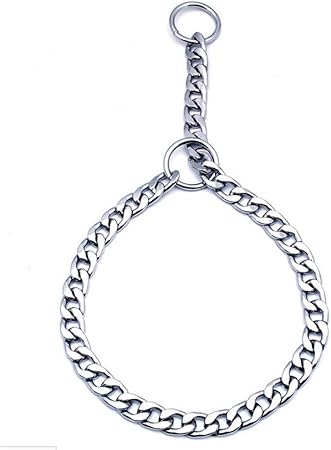 dog correction chain