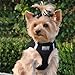 CHOKE FREE REFLECTIVE STEP IN ULTRA HARNESS - BLACK - AMERICAN RIVER (Small) by Doggie Design