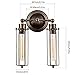 Vintage Wall Lamp Adjustable Industrial Rustic Wire Cage Wall Light Retro Style Indoor Lighting Fixture ;Moonkist (With 2 Light) (Bronze)