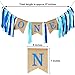 Maxdot 1 Set Baby First Birthday Banner 1st Birthday Boy Decorations Chair Burlap with 6 Pack Paper Pom Poms Flowers, 10 Inches