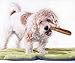 Downtown Pet Supply Yak Cheese Himalayan Dog Chews - Large Yak Chews Rich in Nutrients for Medium to Large Dogs - Long Lasting, Odorless and Easy to Digest Cheese Dog Treats - 1 LB
