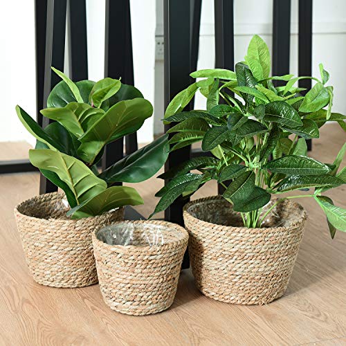 Dinaso Seagrass Plant Baskets, Set of 3 Woven Planter Basket 100