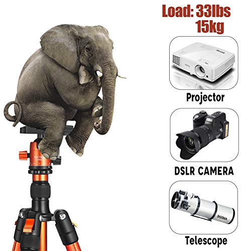 MACTREM Professional Camera Tripod with Phone Mount, 62" DSLR Tripod