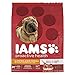  IAMS Proactive Health Dry Dog Food, Lamb & Rice, 12.5 lbs. (Standard Packaging)