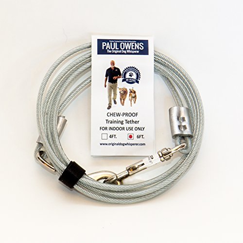 6 Ft. Chew-Proof Training Tether for Dogs & Puppies