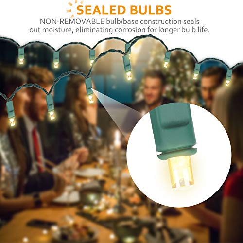 25ft 50 Count Warm White LED Christmas Lights Outdoor Indoor, Commercial Grade Green Wire, 5mm