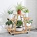 Bamboo Rolling 6 Tier Plant Stand Rack Multiple Flower Pot Holder Shelf Indoor Outdoor Planter Display Shelving Unit for Patio Garden Corner Balcony Living Roomthumb 4