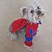Alfie Pet - Superhero Costume Spiderman - Size: XS