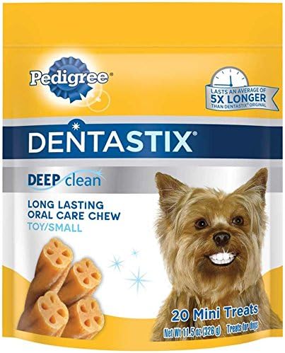 places that sell guinea pigs